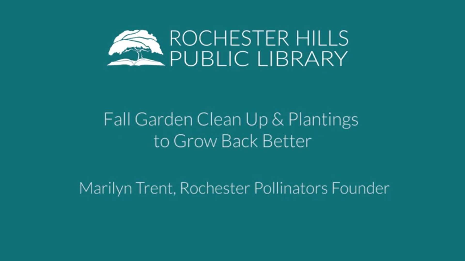 Fall Garden Clean Up & Plantings to Grow Back Better